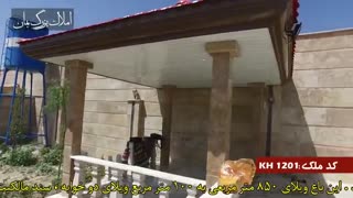 فروش باغ ویلا در ملارد کد 1201 املاک بمان