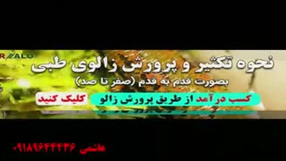 پکیج آموزش پرورش زالو بصورت قدم به قدم