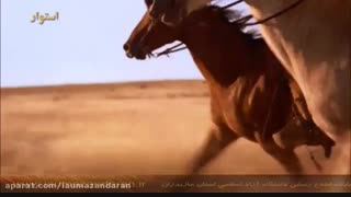 آخرین اخبار دانشگاه در پایگاه اطلاع رسانی دانشگاه آزاد اسلامی استان مازندران