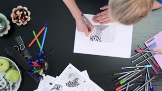 معرفی برند استدلر در فروشگاه اینترنتی آلیار