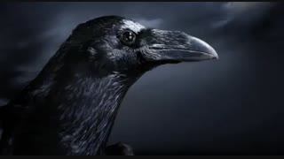 اطلاعیه مهم سریال اکادمی چتر