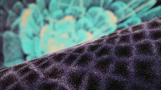 فرش فانتزی کلکسیون مرسانا