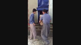 جوجه یکروزه شرکت مرغک