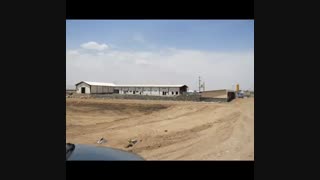 مجوز پرورش جوجه یکروزه