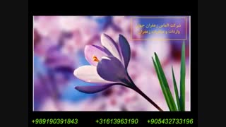 صادرات زعفران شرکت الماس زعفران جهان