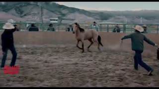 آنونس «اسب وحشی The Mustang»