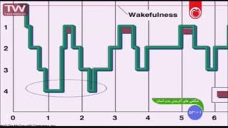 ساختار خواب ـ قسمت اول