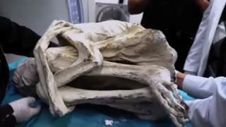 نتجه بررسی بر روی موجودات فضایی کشف شده در سال ۲۰۱۷ در پرو