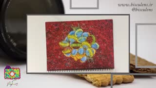بیسکولنز #8: عکس هایی از جهان میکروسکوپی