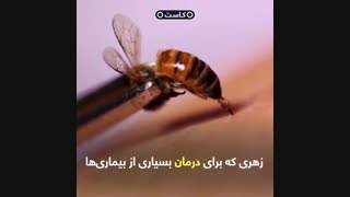 فواید عجیب و غریب زنبور عسل!
