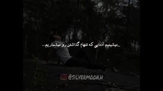 کی گفته من تنهام؟