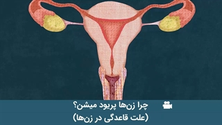 چرا زن ها پریود میشن؟