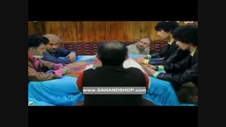 نقی معمولی : به اسم ارسطو آلرژی دارم