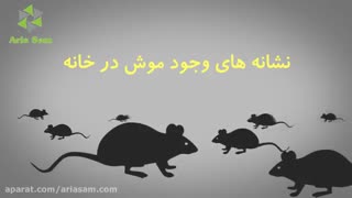 قوی ترین سم موش کش
