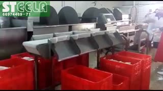 سورت دیجیتال