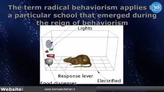 مکتب رفتارگرایی را بیشتر بشناسیم