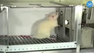 شرطی سازی فعال در روانشناسی