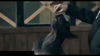 دانلود رایگان فیلم کمدی هزارپا
