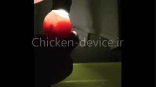 ویدیو نطفه سنجی تخم نطفه دار اردک