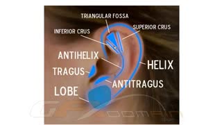 آموزش گوش در نرم افزار زیبراش