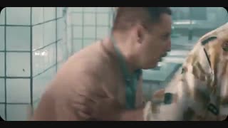 دانلود قسمت اول فیلم هزارپا | کامل