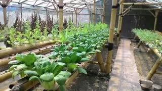 Modern Agriculture Techniques