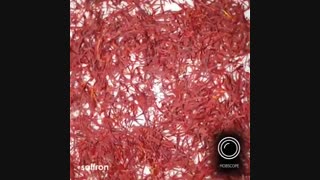 کوچکترین میکروسکوپ جهان ساخت ایران