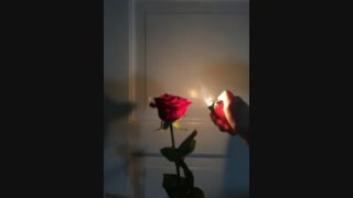 زندگی را...