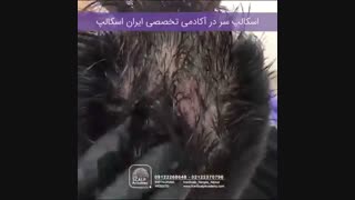 اسکالپ سر در آکادمی ایران اسکالپ