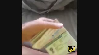 دور دنیا با ویلچر