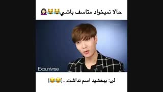 گربه ی بی نام و نشان لی
