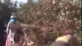 عملکرد کمیته امداد امام خمینی ره