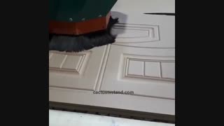 دستگاه CNC در تولید میز تلویزیون های کاکتوس