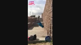 حرکت زیبای شوت بک از (تمیم سعیدی ) / پارکور و فری رانینگ