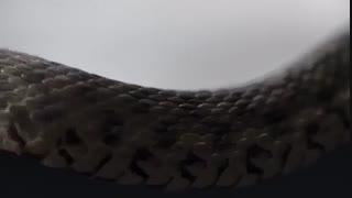 دانلود حلال و قانونی سریال ترسناک احضار قسمت هشتم