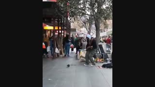 کفتر کاکل پسر ها های :)))