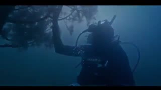 دانلود فیلم سرو زیر آب Under Water Cypress