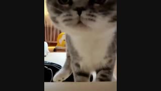 اینجوری بپره بغلت@_@..#نیمه_ثابت