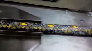 دستگاه بسته بندی گز بدون ضایعات محصول و سلفون، دستگاه های بسته بندی اتوماتیک گز و شکلات پیروزپک