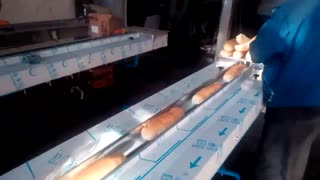 دستگاه بسته بندی نان باگت، بسته بندی استاندارد برای حفظ تازگی و کیفیت انواع نان