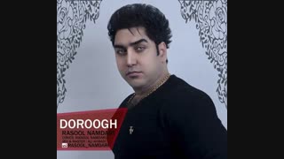 دانلود آهنگ دروغ با صدای زیبای رسول نامداری هم اکنون دانلود کنید ...