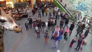 تبلیغات شگفت انگیز شرکت ویزا