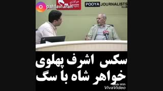 سگ های اشرف لیپوماتیک