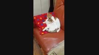 تقدیمی سحر@_@ #ثابت