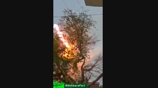برق گرفتن درخت رو دیده بودید!