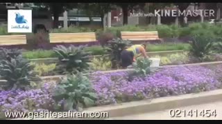 راچ پارک در کبک قدیمی