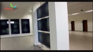دانشگاه قاضی