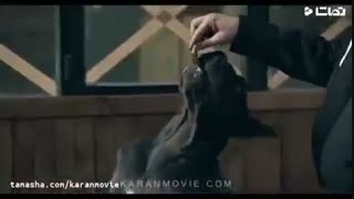 دانلود قسمت اول و دوم فیلم هزارپا نسخه کامل و با لینک مستقیم