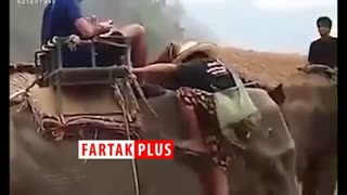 پشت صحنه سواری دادن فیل‌ ها به انسان‌ها