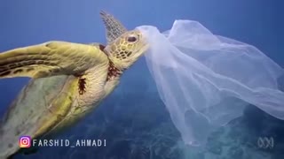 جهان پلاستیکی